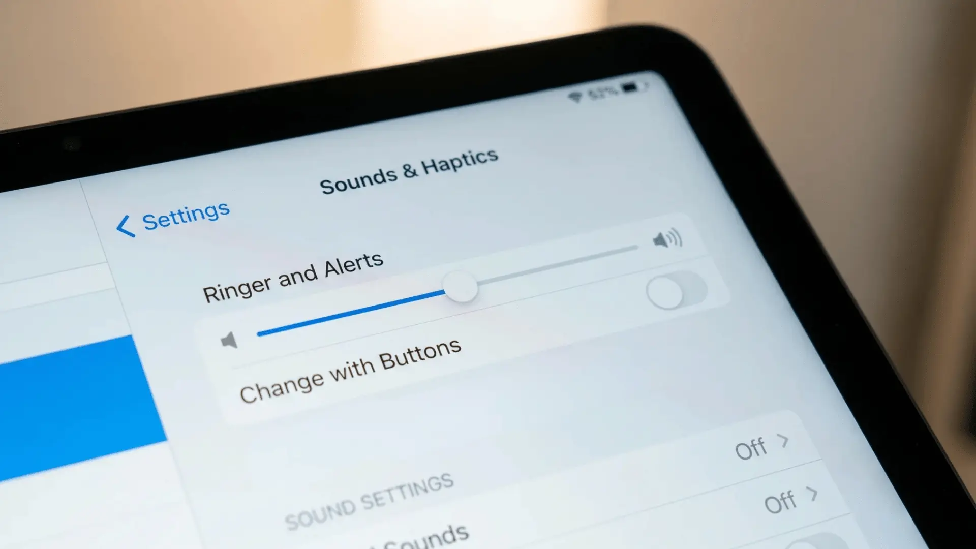 Close-up of iPad Settings app showing the Ringer and Alerts slider in the Sounds section.