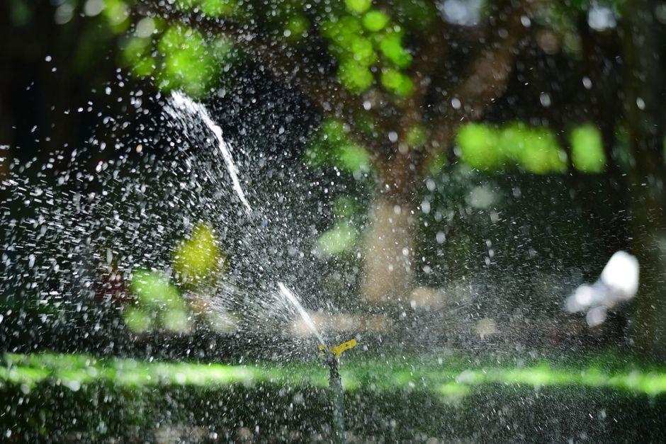 Smart Ways to Spot Sprinkler Problems Early