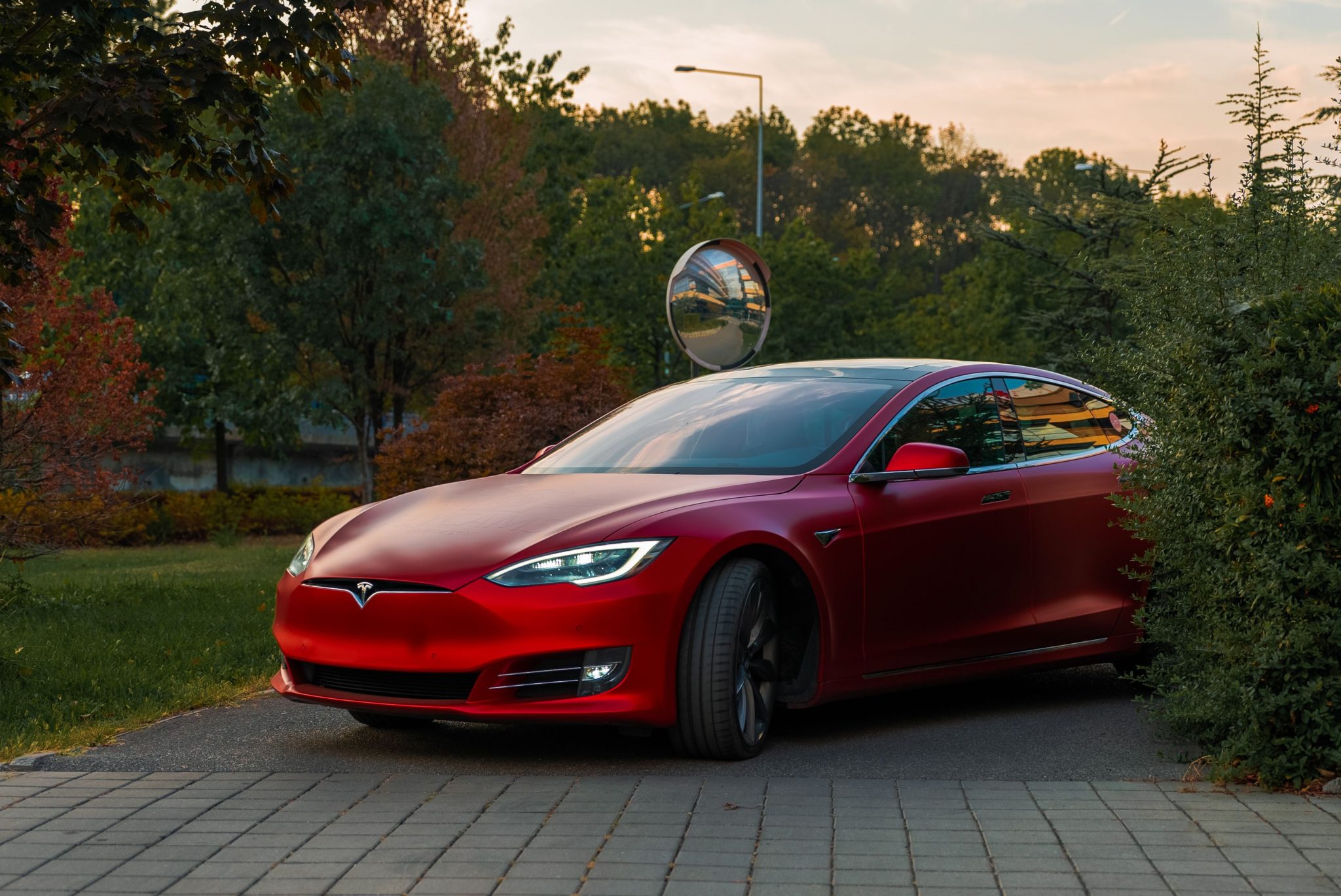 Tesla PPF in Toronto: A Step-by-Step Look at How the Film Actually Goes On