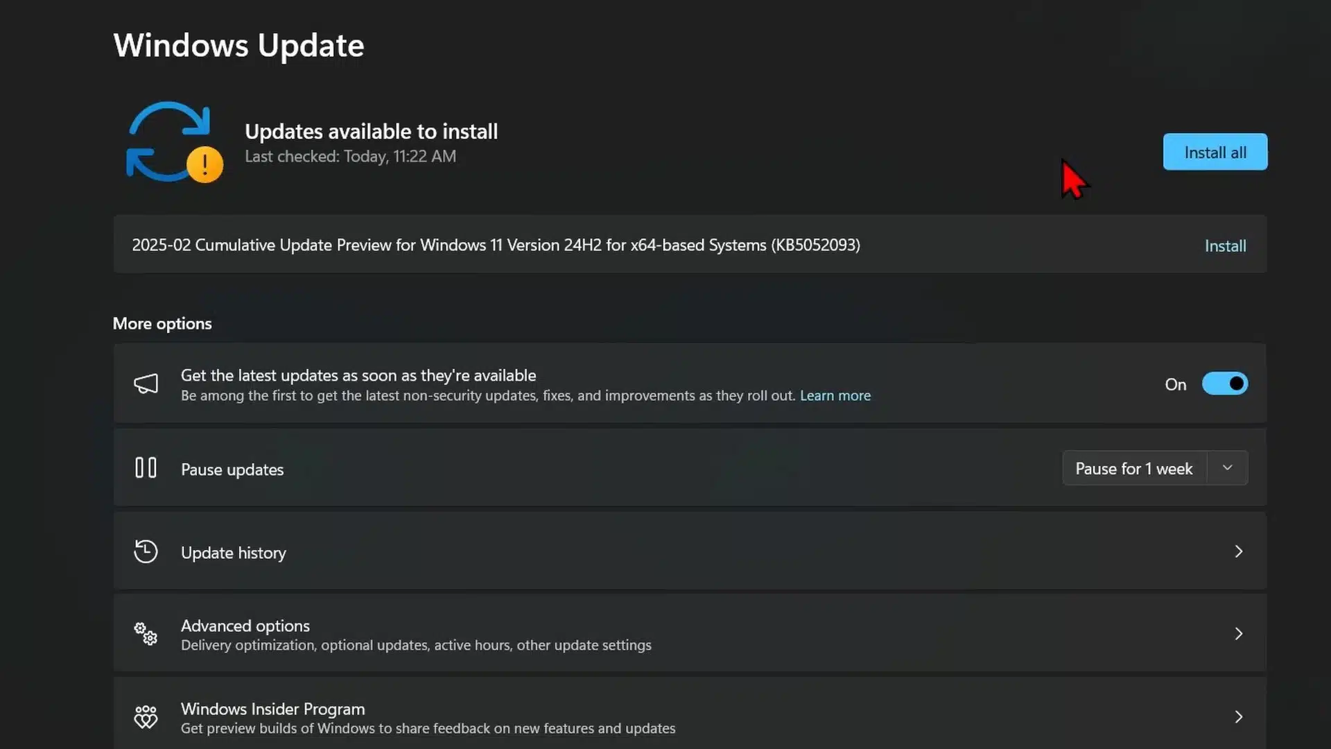 Windows 11 Windows Update page showing the Check for updates option.