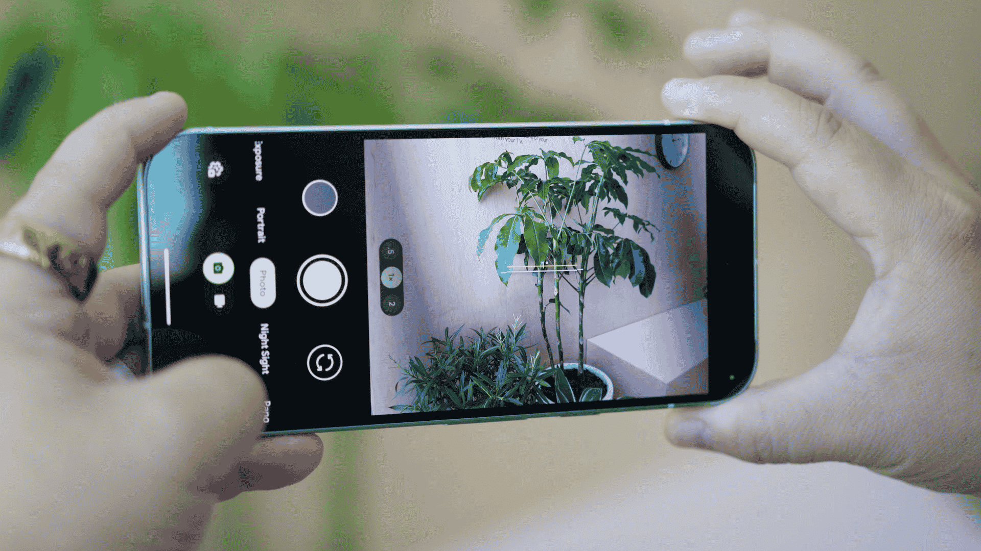 Hands holding a Pixel smartphone taking a photo of an indoor green plant using the camera app interface.