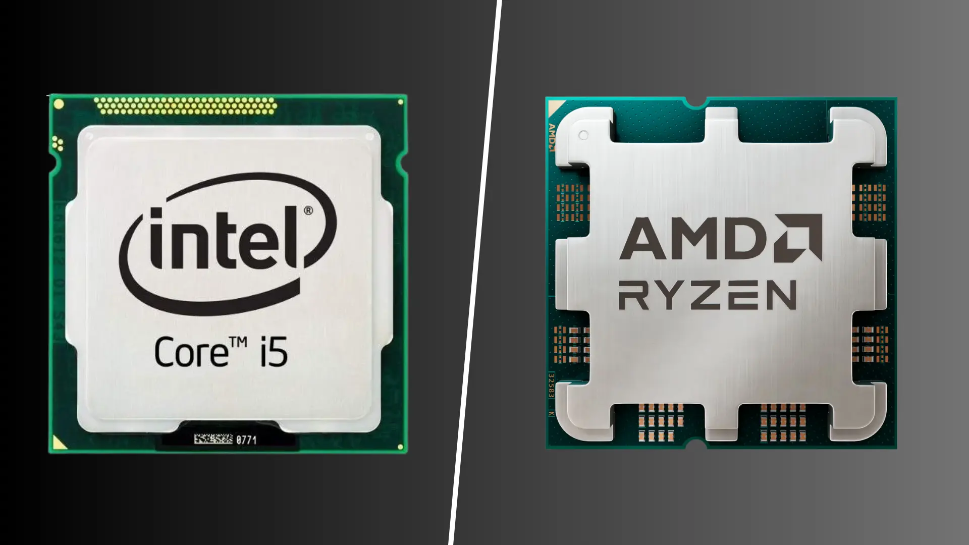 Intel Core i5 and AMD Ryzen processors compared side by side with a divider between them
