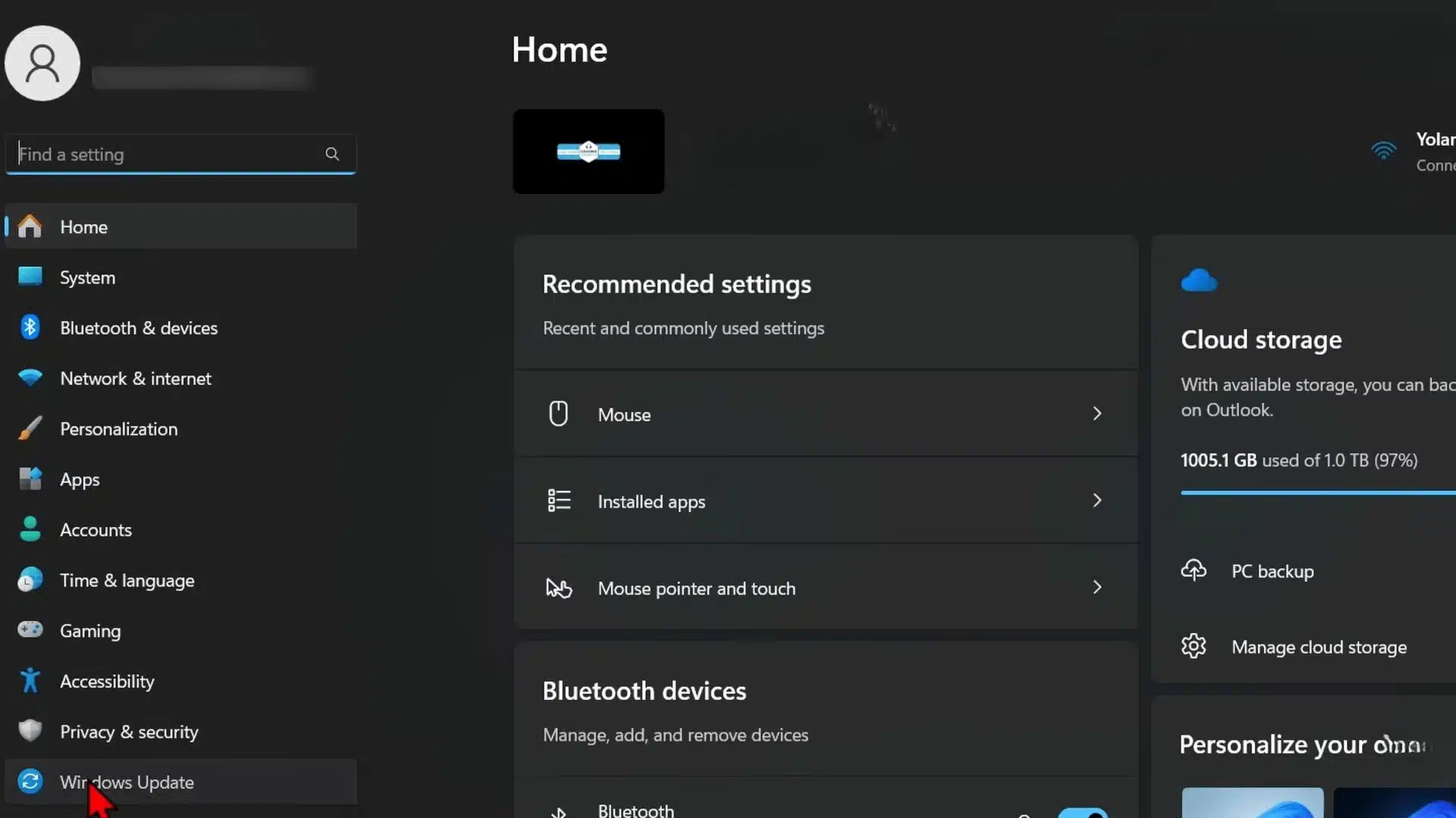 Windows 11 Settings with Windows Update selected in the left menu.