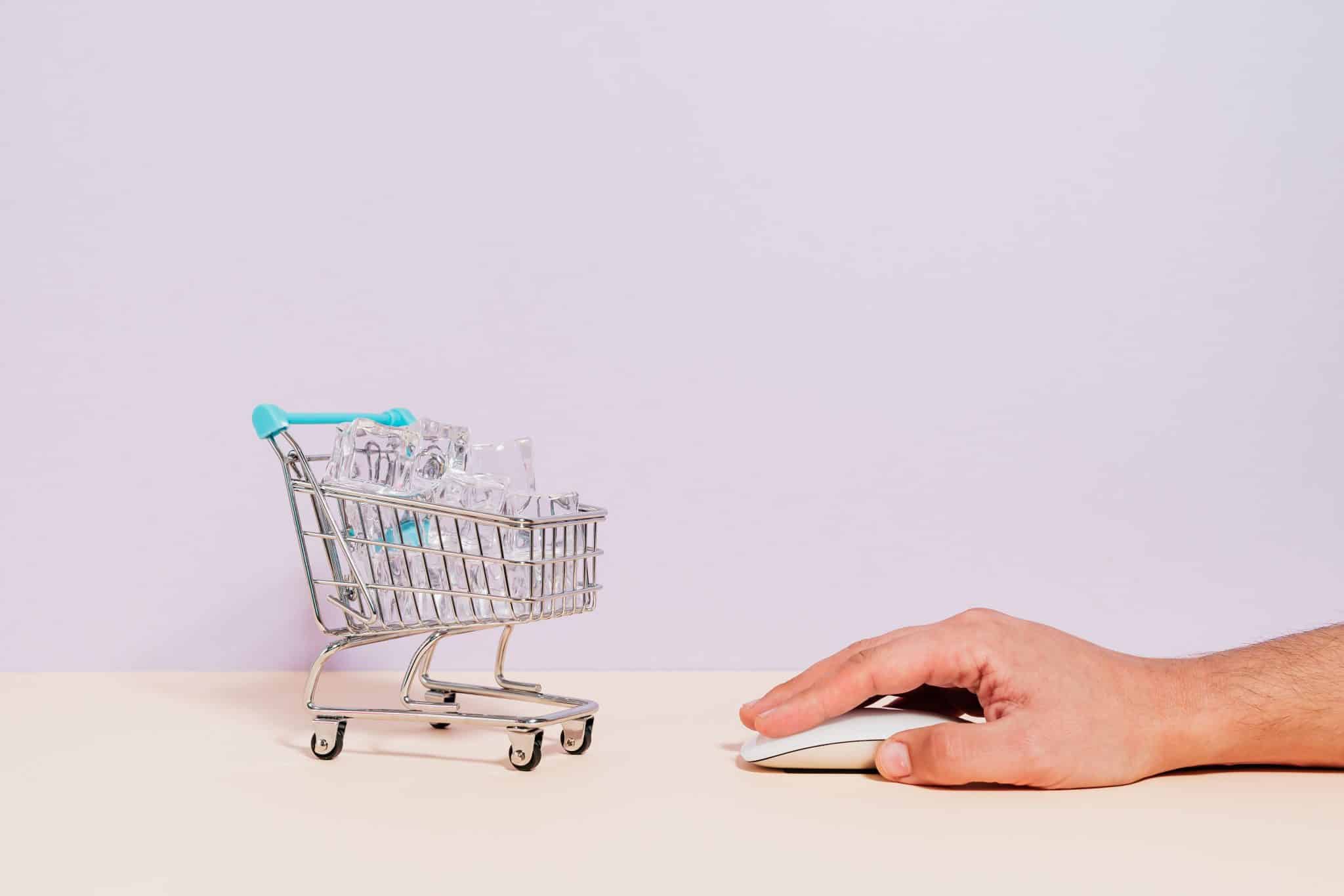 Choosing Ecommerce SEO Services for Your Online Store